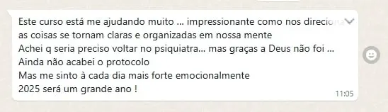 Captura de tela 2025-01-02 215616-min